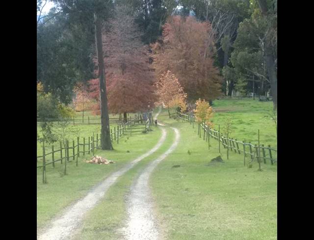 80HA FARM FOR SALE IN DARGLE